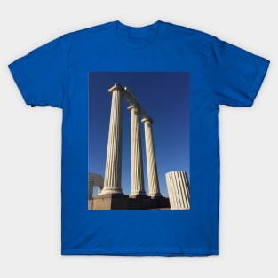 Greek Columns on campus at SUNY Buffalo T-Shirt